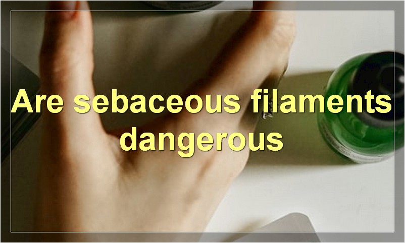 Are sebaceous filaments dangerous