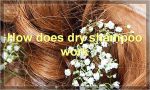 How does dry shampoo work