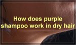 How does purple shampoo work in dry hair