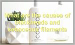 What are the causes of blackheads and sebaceous filaments