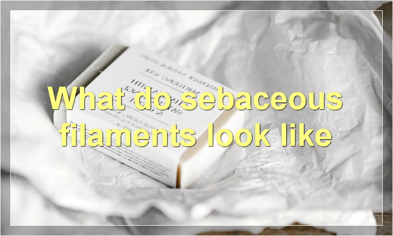 What do sebaceous filaments look like