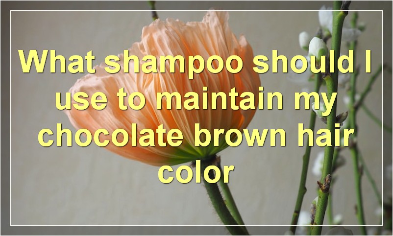 What shampoo should I use to maintain my chocolate brown hair color
