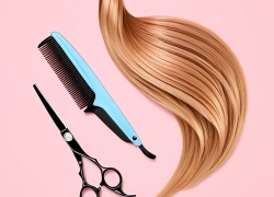 **Sally’s Beauty Supply Hair Clippers: Professional Tools for Effortless Styling**