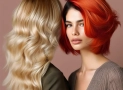 Discover the Ultimate Guide to Wholesale Beauty Supply for Top Brands