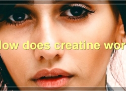 The Benefits And Risks Of Creatine