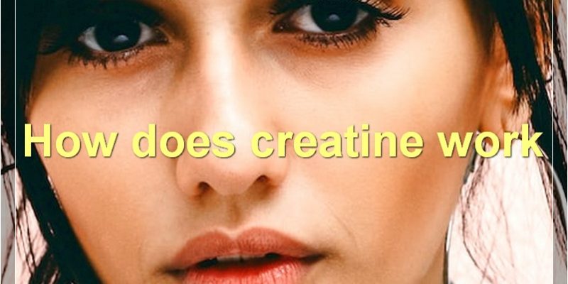 The Benefits And Risks Of Creatine