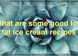 A Comprehensive Guide To Low Fat Ice Cream