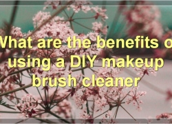 DIY Makeup Brush Cleaner: How-To, Benefits, Tips