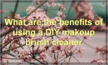 DIY Makeup Brush Cleaner: How-To, Benefits, Tips