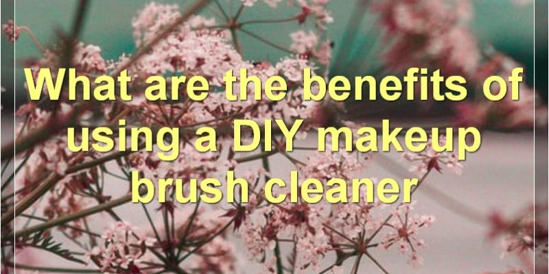 DIY Makeup Brush Cleaner: How-To, Benefits, Tips