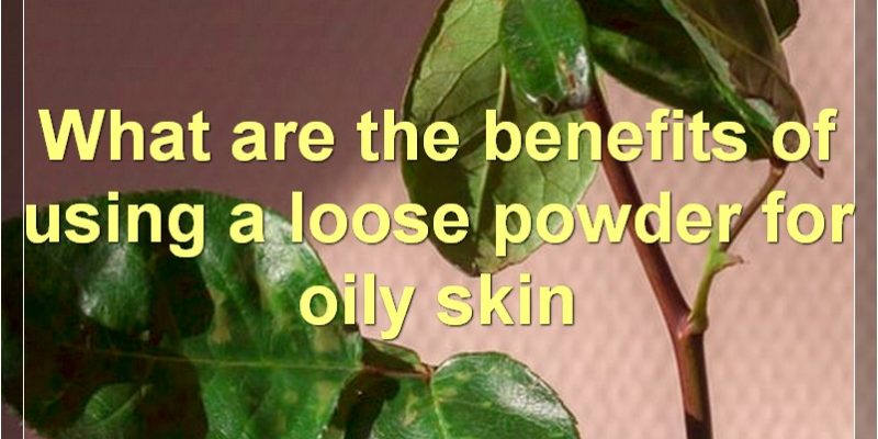 The Best Loose Powders For Oily Skin