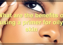 The Best Primers For Oily Skin