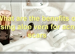 Aloe Vera And Acne Scars: Everything You Need To Know