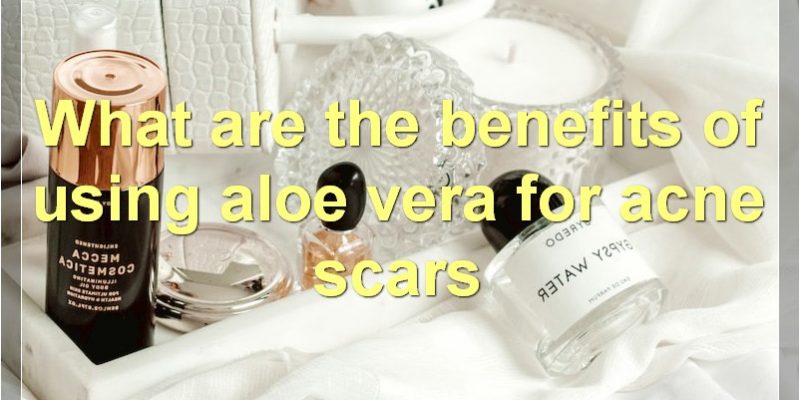 Aloe Vera And Acne Scars: Everything You Need To Know