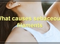 Sebaceous Filaments: Everything You Need To Know