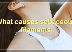 Sebaceous Filaments: Everything You Need To Know