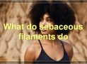 What Are Sebaceous Filaments?