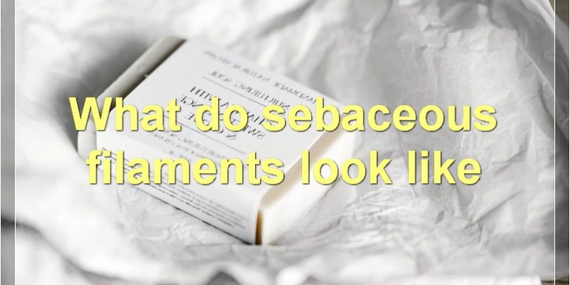Everything You Need To Know About Sebaceous Filaments