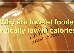 Low-Fat Foods: How They’re Made, Their Benefits, And More